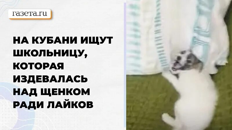 Девочка издевается над щенком. Издевательства над щенками. Девочка издевается над щенком. Издевательство над овчаркой. Девочка издевается над щенком.