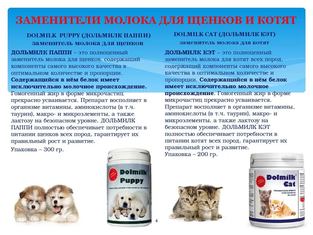 Заменитель молока для котят. Кисломолочка для котят. Можно кормить котёнка молоком коровьим?. Заменитель молока для собак. Можно ли котенка