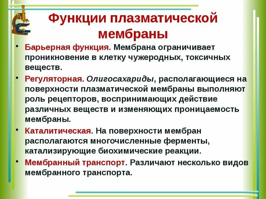 Функции плазматической мембраны. Функции плазматической мембраны таблица. Внешняя плазматическая мембрана выполняет следующие функции.