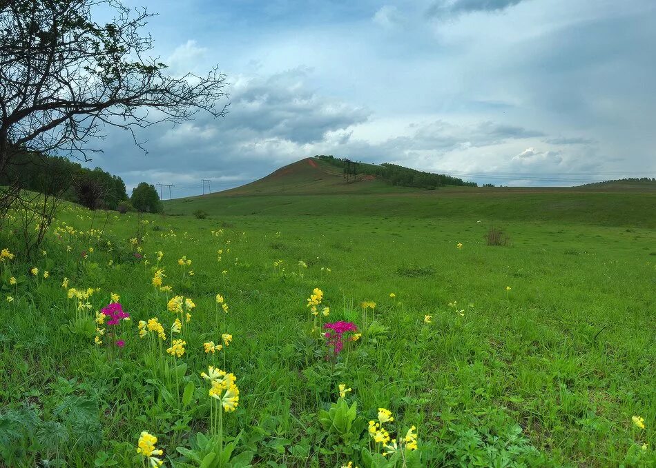 погода в емельяновском районе. село дрокино красноярск. ао емельяновский картошка. емельяновск красноярский край. погода в емельяновском районе.