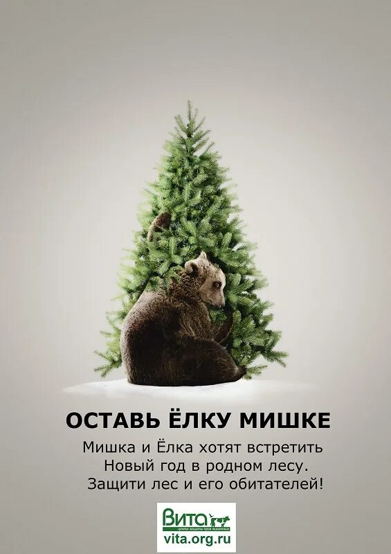 статусы про новый год. хочу елку. хочешь елочку. хочу елку. елку покажи елку.