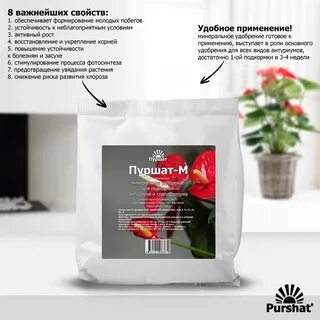 Пуршат для спатифиллума