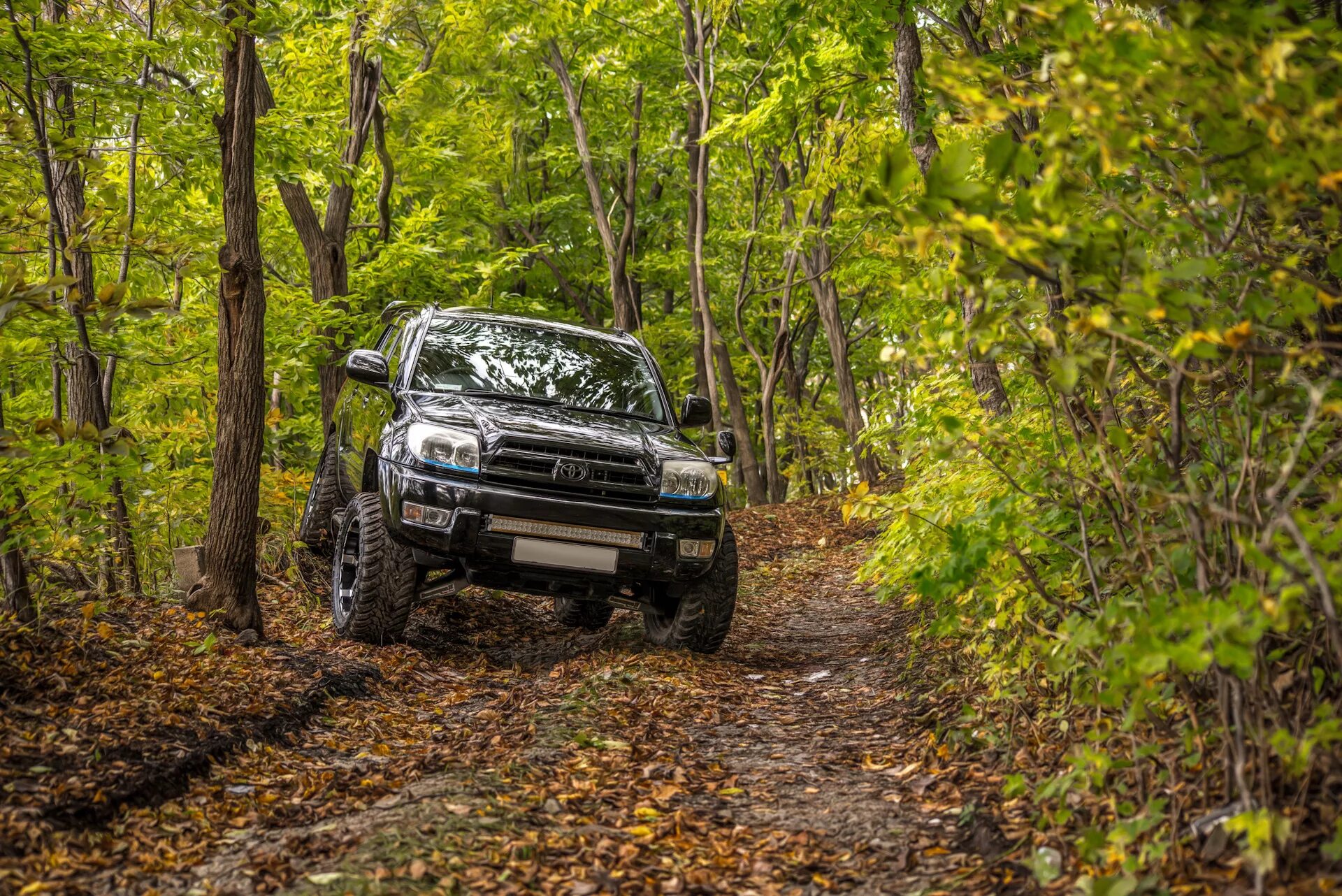 Полный привод хайлюкс. Hilux Surf 215. Toyota Hilux Surf 4. Hilux 4runner. Тойота Хайлюкс Сурф 215.