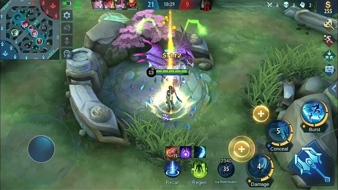 Лес мобайл легенд гайд. Эймон mobile legends. Топовые ники для мобайл легенд. Сборка на эймона. Сборка на эймона.