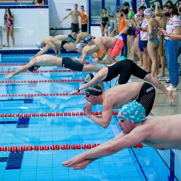 Ростов свим. Бассейн Лужники. Свим кап. Тренер по плаванию Лужники. SWIMCUP Sprint.