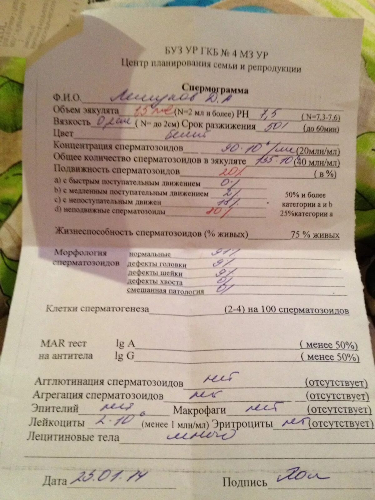Центр семья спермограмма