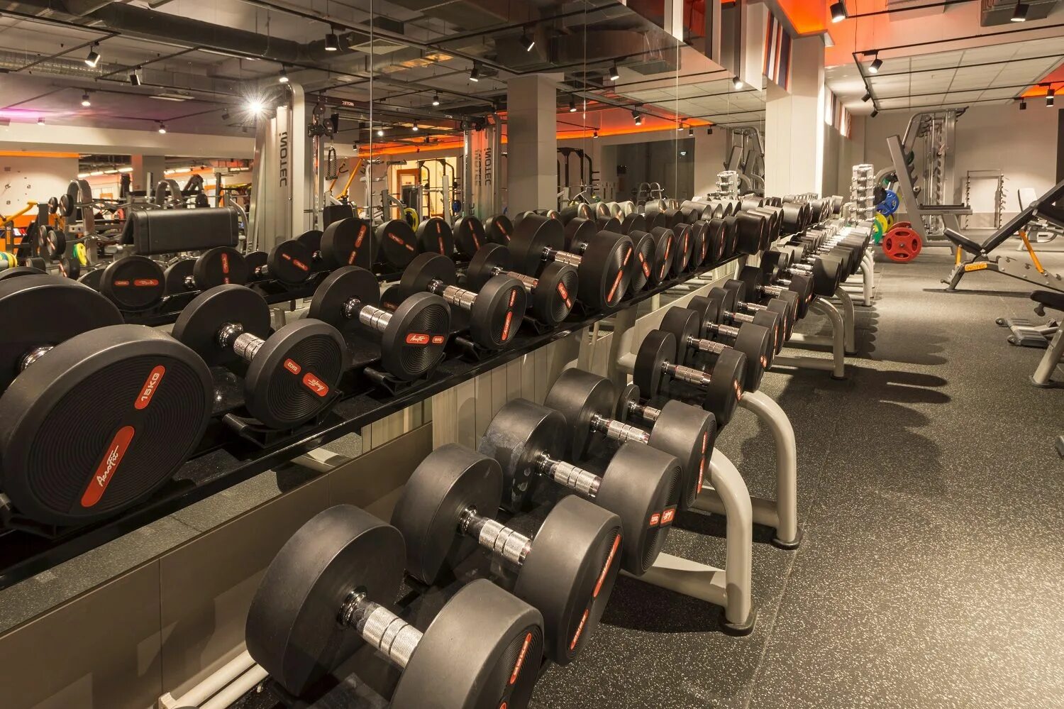 Спортзал новгород. Спортзал новгород. Gold fitness нижний новгород индиго. Fitness house ярославль. Sigma sirius тренажерный зал.