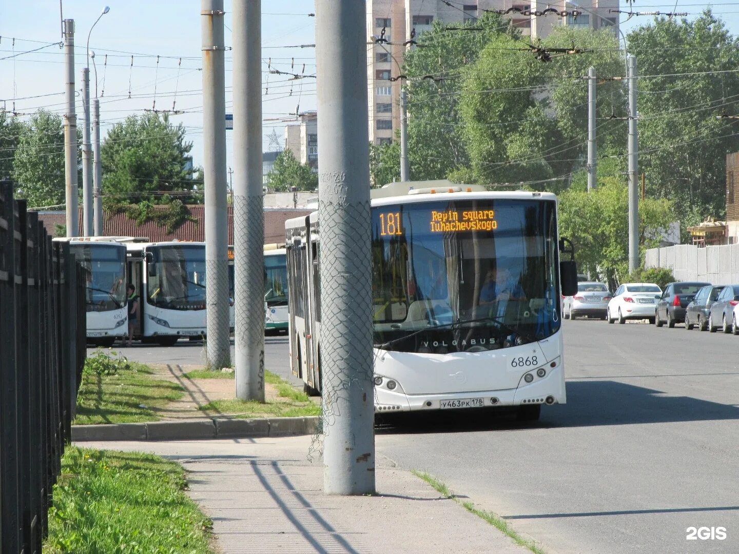 Автобус волгабас спб. Автобус санкт-петербург. Автобус волгабас спереди. 63 автобус спб маз. Автобус 181 санкт петербург.
