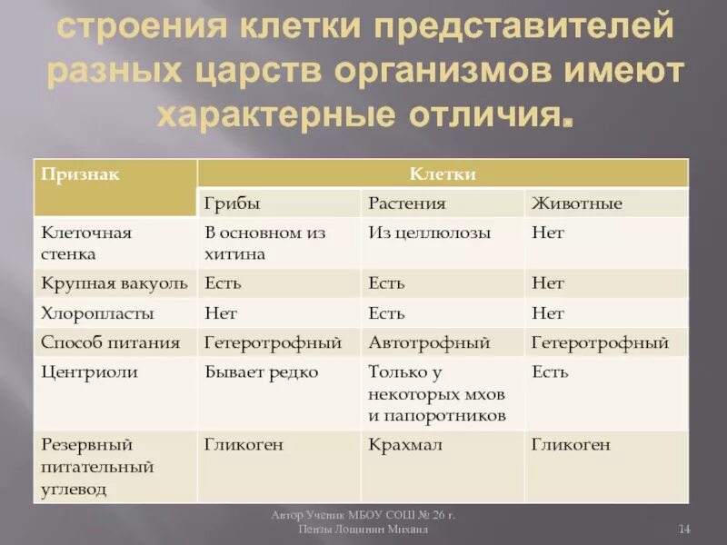 Признак характерный только для царства животных. Строение клеток эукариот растений животных грибов. сравнение клеток различных царств эукариот таблица. клетки разных царств грибов, бактерий, животных растений. различия и сходства клеток различных царств.