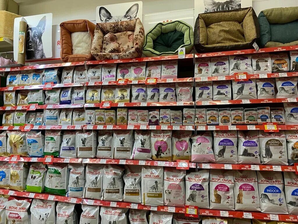 усатый полосатый зоомагазин. зоомагазин усатый полосатый. конкурс в зоомагазине. наполнитель кузя для котят. усатый полосатый проспект ленина 112а.