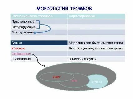 Особенности строения тромбов
