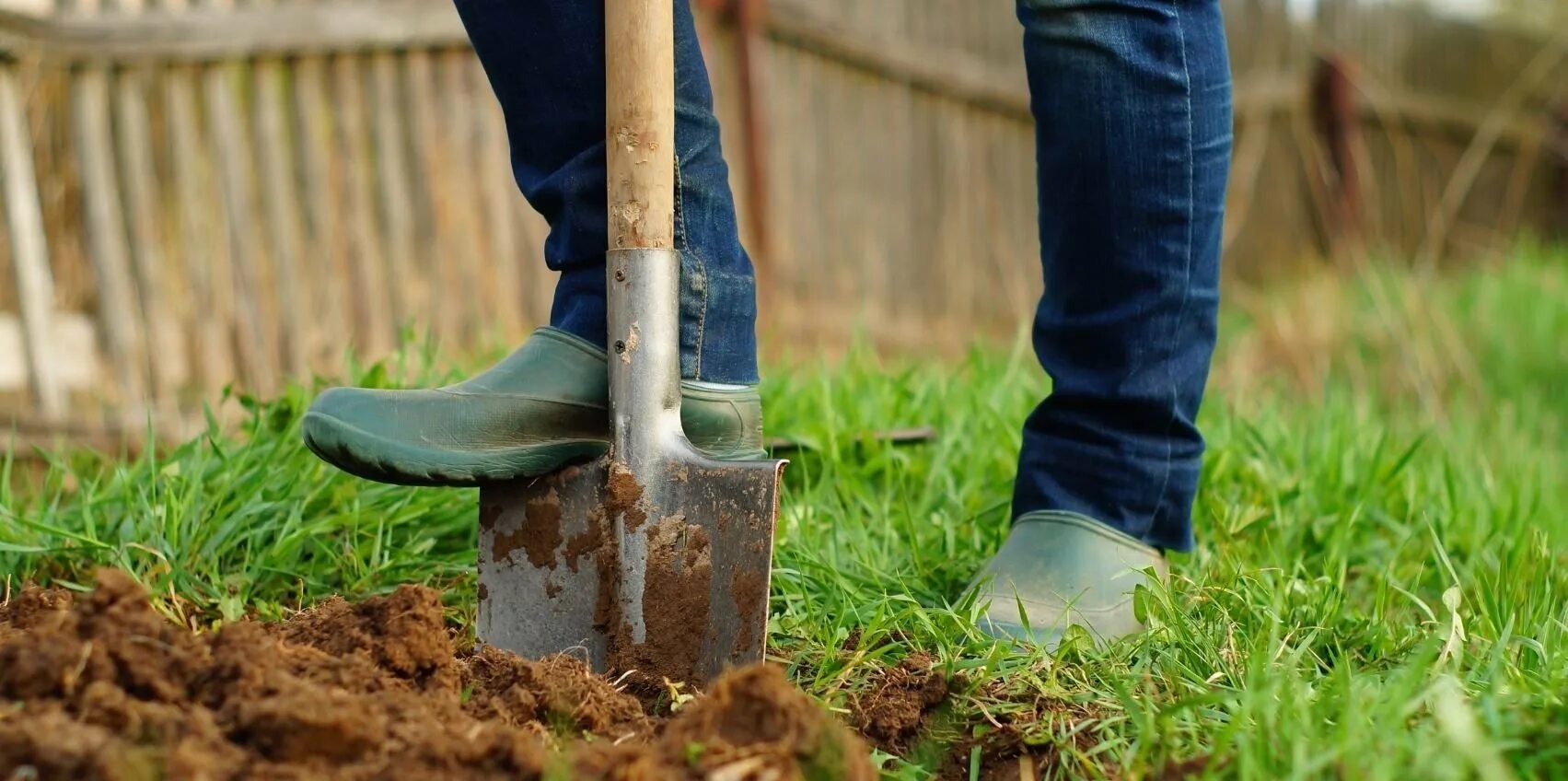 выкопает какое время. вырыли какое время русский язык. распредели глаголы по временам. определить время прошедшее настоящее или будущее выкопал выдержал. выкопает какое время.