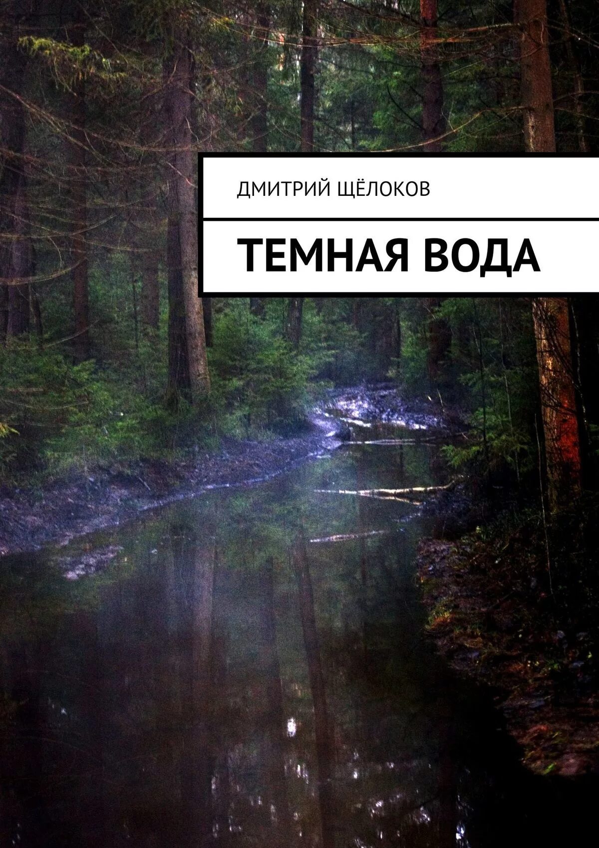 Темная вода книга