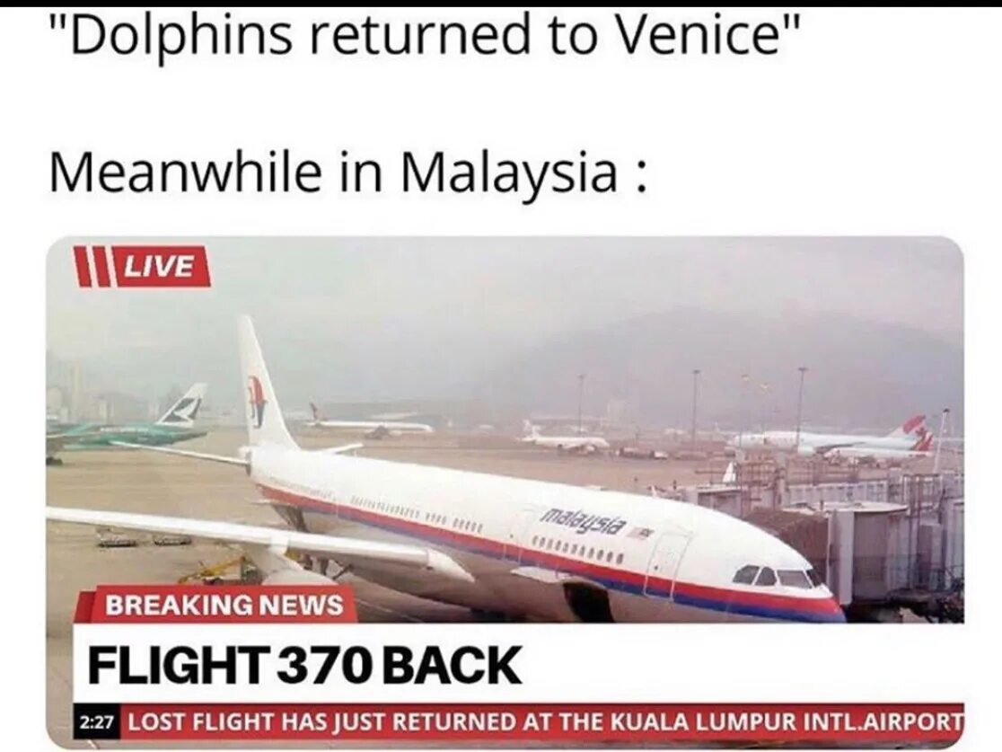 I have just returned