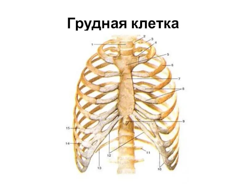 Как найти 10 ребро