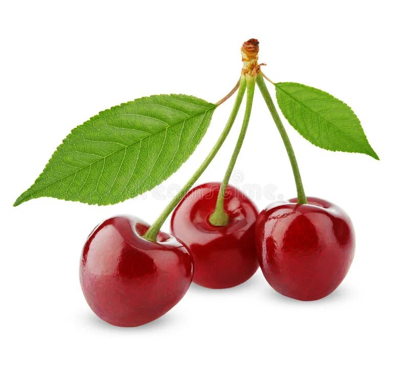 Пять вишен