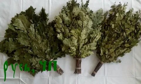 Береза дуб веники