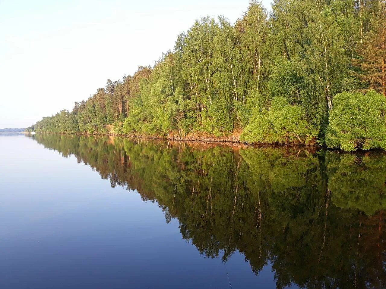 Государственный природный заказник Ярославский Ярославская область. Верхне Кондинский заказник. ООПТ Ярославля. Верхне Волжский заказник.