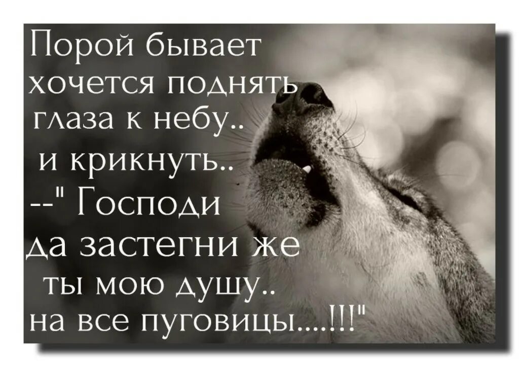 Жили были не могу и не хочу. Плохо на душе цитаты. Мудрые высказывания о боли. Очень плохо на душе цитаты. Плохо цитаты.