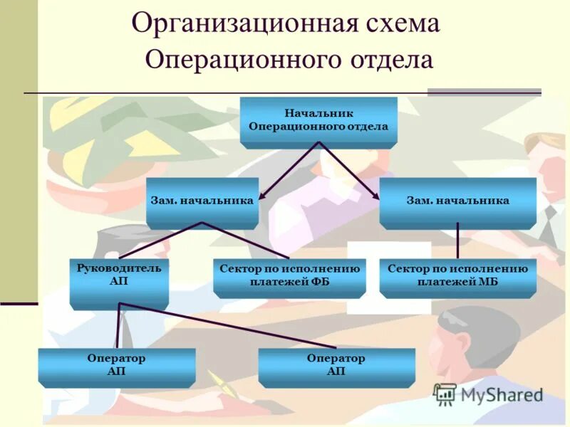 Директор по операционному управлению. Директор по операционному управлению
