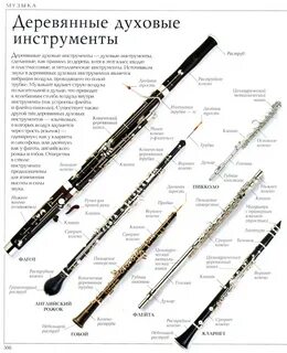 Деревянные инструменты с названиями 20 фото