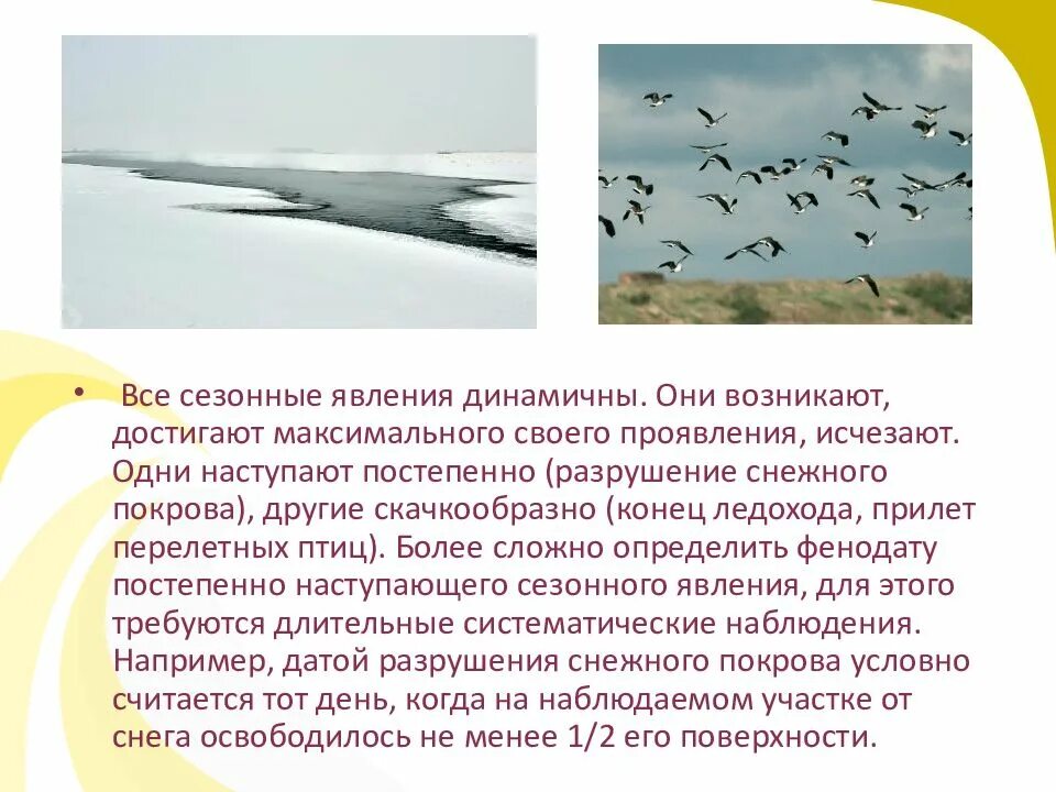 Сезонная жизнь животных. Сезонные явления в жизни. сезонные явления в жизни животных. сезонные изменения в жизни животных. сезонные изменения птиц.