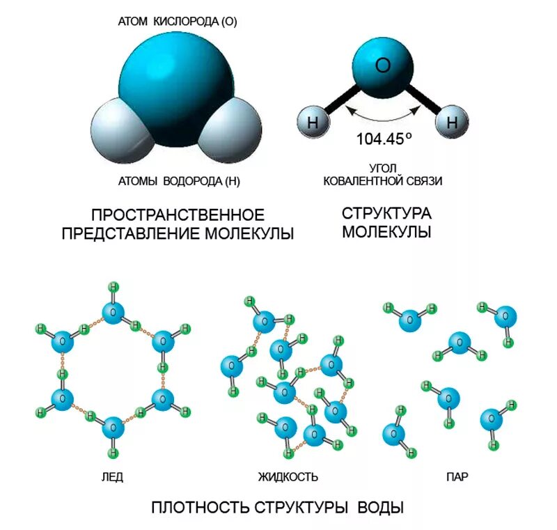 Структура атома воды. Схема соединений молекулы воды. Схема структуры молекулы воды. Структура формулы молекулы воды.