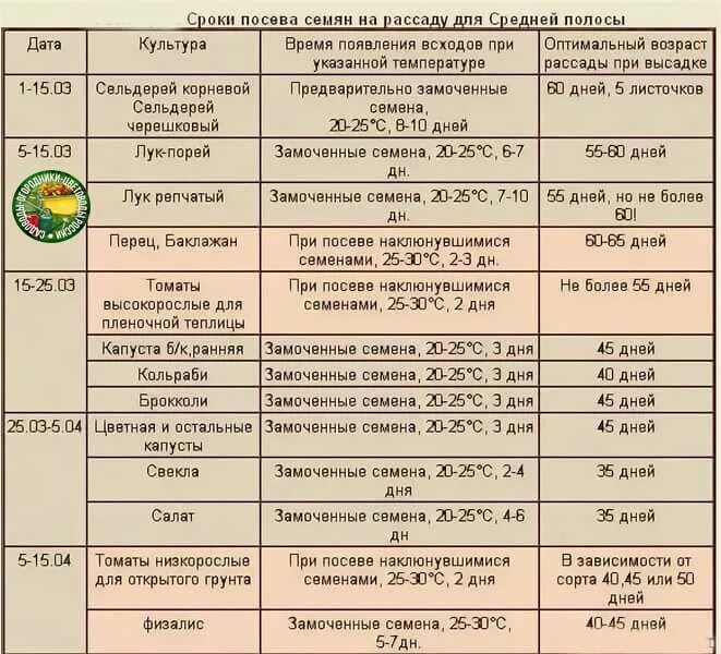 Таблица посева семян на рассаду в 2023 году. Таблица посадки семян на рассаду в 2023 году. Сроки посева рассады. Сроки рассада средняя полоса. Удачный посевной календарь на апрель 2024г лунный