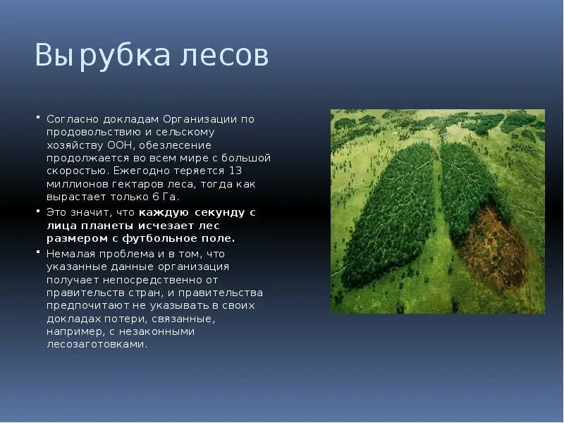 Сведение лесных массивов примеры