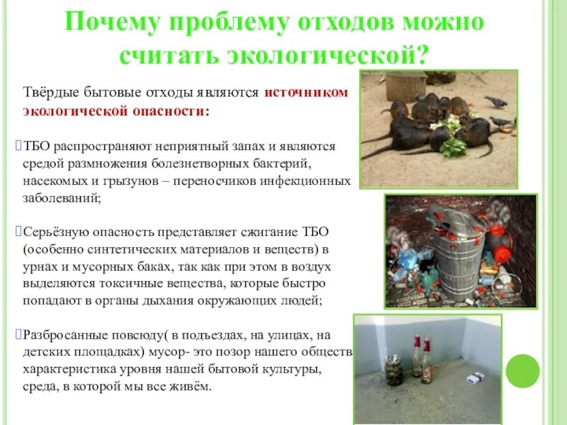Проблемы накопления и утилизации отходов. Проблема мусора причины. накопление твердых бытовых отходов причины. решение экологической проблемы мусора и отходов. почему проблему отходов можно считать экологической.