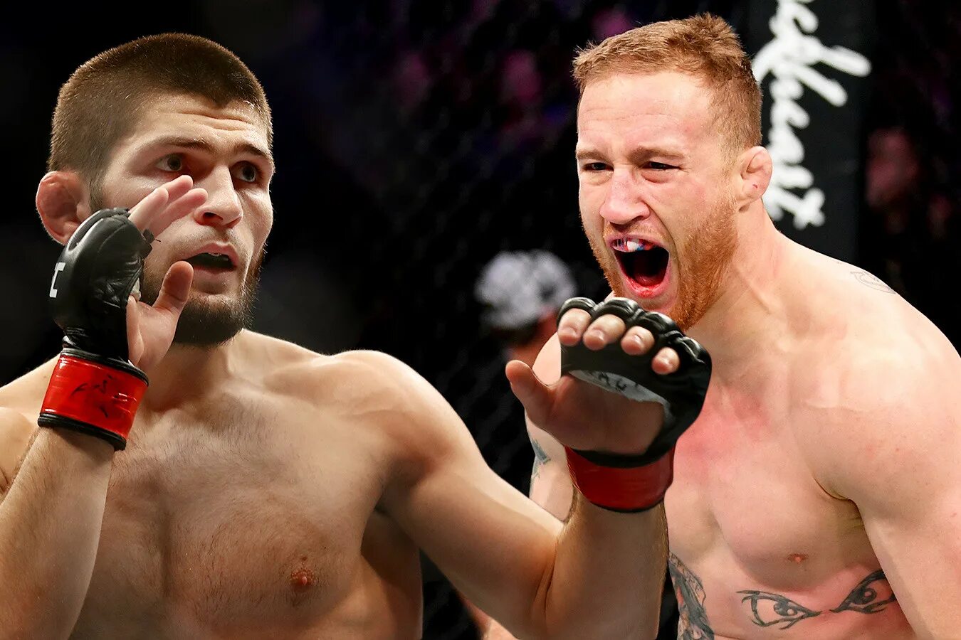 Туменов в юфс. Альберт хусейнович туменов. Туменов брандао. Туменов в юфс. Туменов алим.