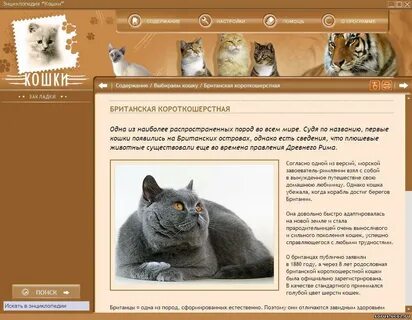 Рассмотрите фотографию кошки породы британская и выполните