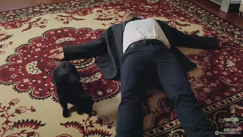 Сельский детектив кошки опасные для жизни