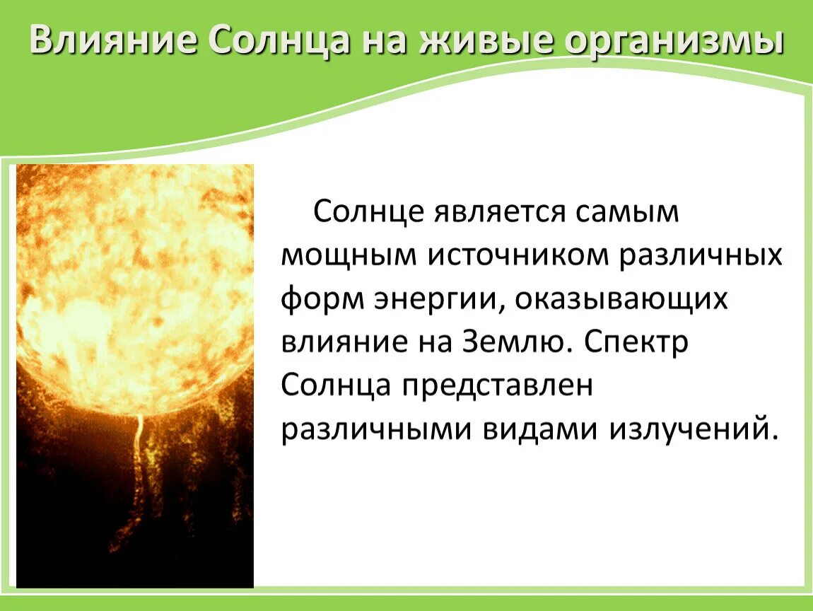 Солнце действие. Влияние солнца на живые организмы. Влияние солнечной активности на живые организмы. Влияние солнца на организм. Как влияет солнце на живые организмы.