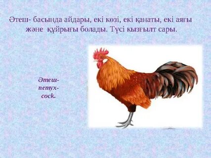 Ұйқыдағы жалаңаш әйелдердің суреттері