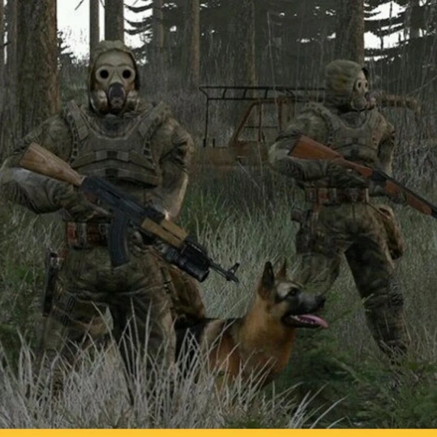 Арм сталкер. Arma 3 Stalker Rp. Arma 2 сталкер. Наемники сталкер дейз. Дейз сталкер РП.