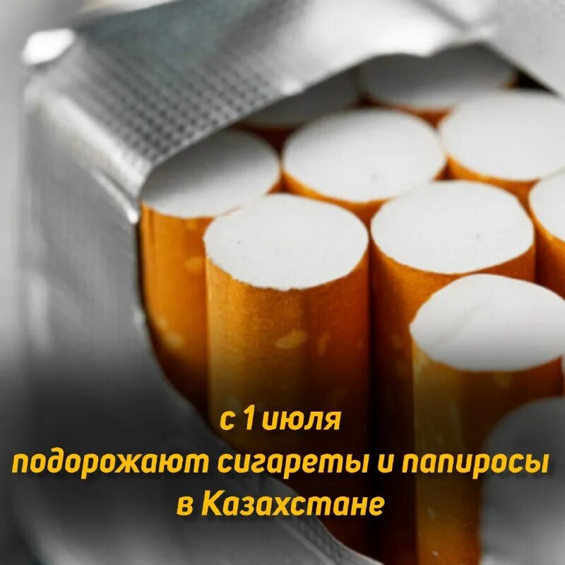 Подорожание сигарет с 1 января 2024 года. Магазин сигарет. Подорожание сигарет с 1 января 2024 года. Сигареты череповец. Казахстанские сигареты ценыценв.