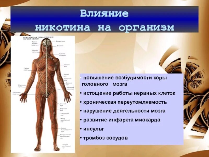 Влияния на организм длительного. Влияния на организм длительного. Влияние электромагнитного поля на организм человека. Влияния на организм длительного. Отравление сивушными маслами.