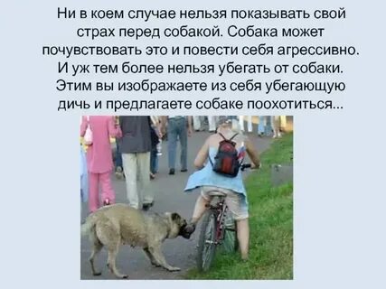 Ни в коем случае родители