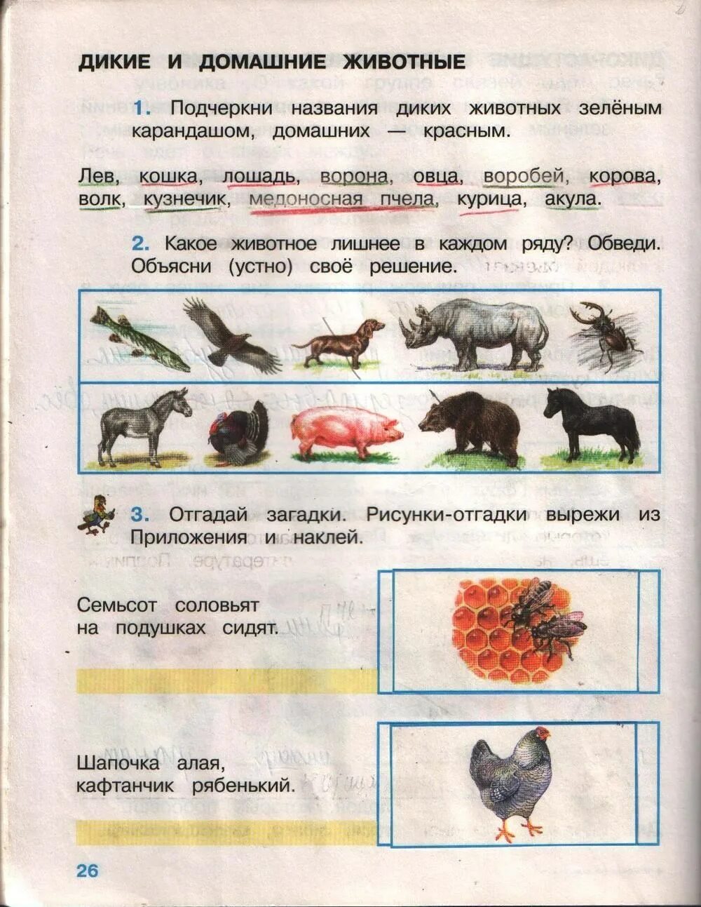 Задание по окр миру 2 класс. Задания по окружающему 2 класс. Домашнее задание окружающий мир. Задание для 1 классов по окруж миру. Задания по окружающему миру за 2 класс.