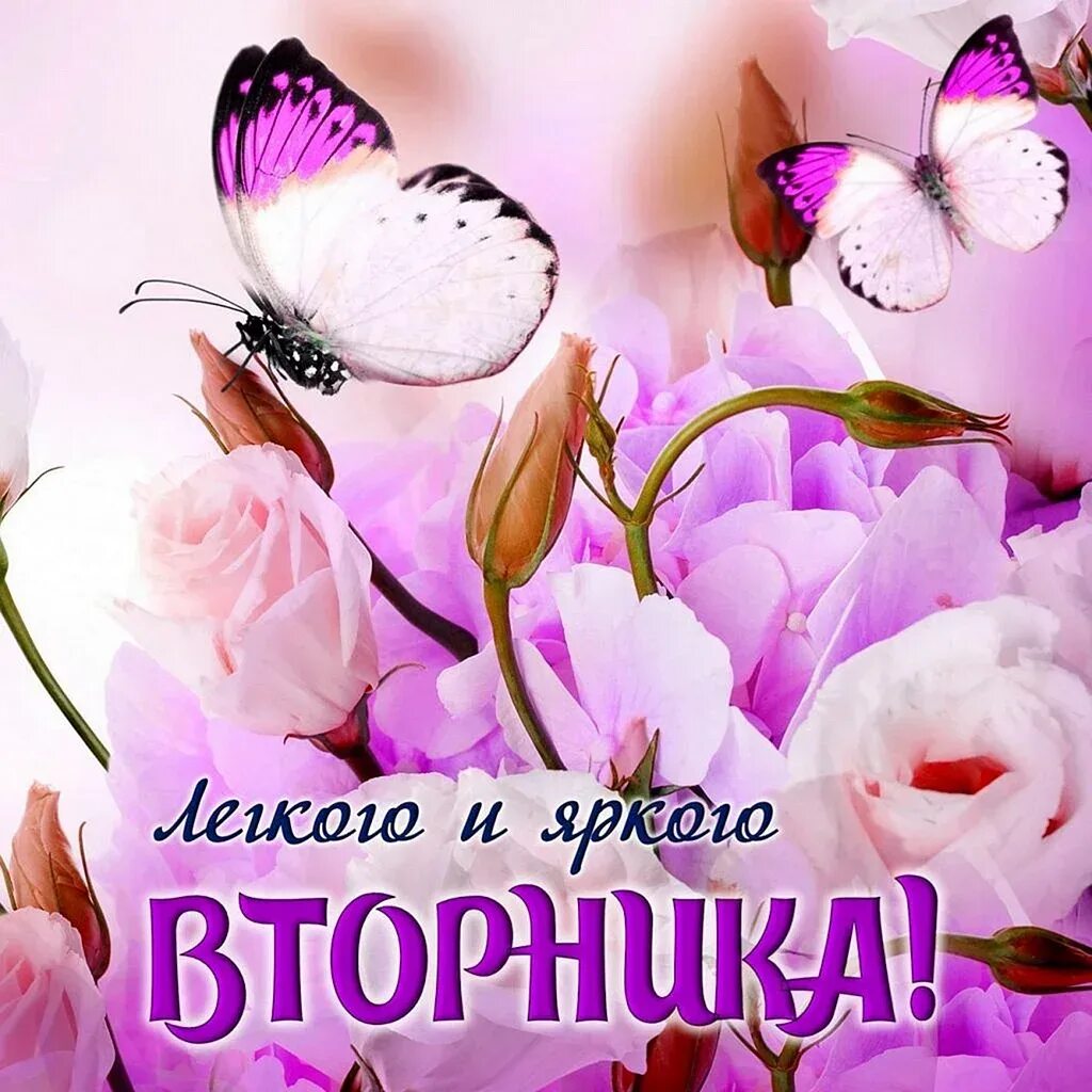 Доброе январское утро вторника и хорошего дня. Доброго вторника. доброе утро вторника. с добрым утром вторника. с лрьрым утпом вирпник.