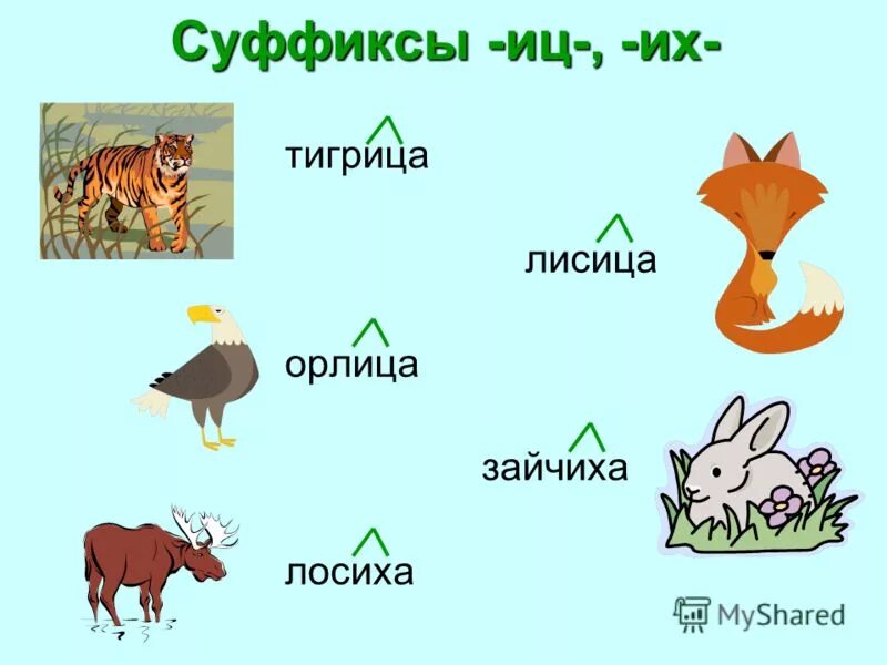 Корень в слове тигр. Корень в слове тигр. Корень в слове тигр. Тигр однокоренные слова. Однокоренные слова к слову тигр.