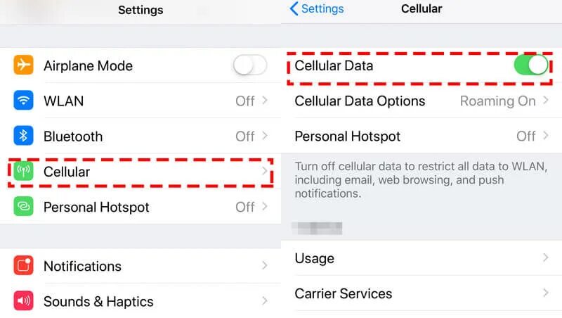 Почему на айфоне wlan. WLAN +Cellular что это. Сафари не удается открыть страницу на айфоне. Cellular data. Не работает сафари на айфоне что делать.