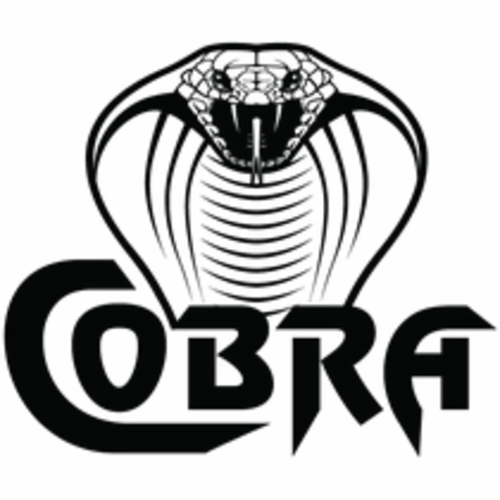 Cobra перевод. Кобра эмблема. Кобра логотип компании. ЧОО Кобра. ГБР Кобра.