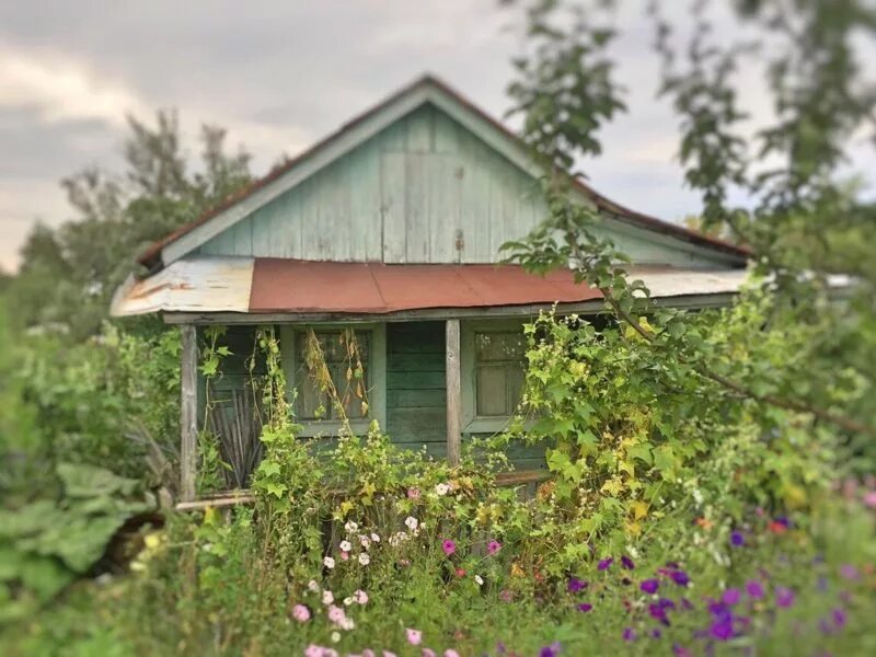 Садовый участок в каменске уральском. Садовый участок в коллективном саду. Уральск 2 дачные. Садовый участок в каменске уральском. Снт № 95 каменск-уральский.