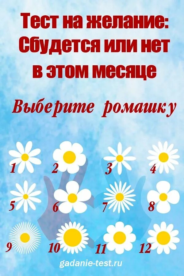 Сбудется или сбудиться. Тест гадаем на ромашке. Тест на желание. Тест на желание сбудется или нет. Ромашка психологический тест.