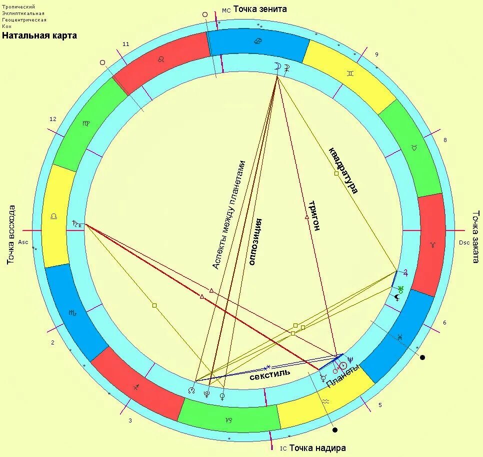 Части натальной карты. Натальная карта. Натальяная кар. Натальная астрология. Астрология натальная карта.