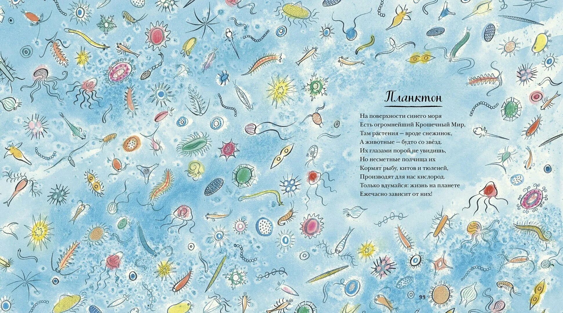 Стихи о море короткие и красивые. Никола дэвис "красивая книга о море". Красивая книга о море никола дэвис иллюстрации эмили. Стихи на тему море. Красивое стихотворение про море.