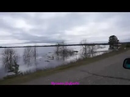 Погода сюзяыб