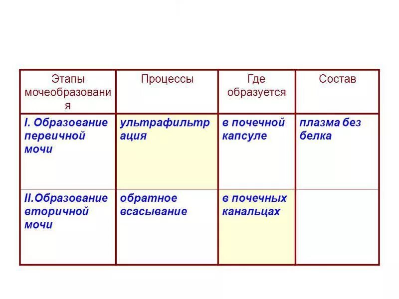 Этапы и механизмы образования первичной и вторичной мочи. Таблица этапы мочеобразования процессы. Этапы мочеобразования таблица. Этапы образования мочи схема.